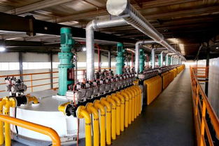 韋爾斯4.0智慧工廠震撼經銷商，技術開發共創新篇章