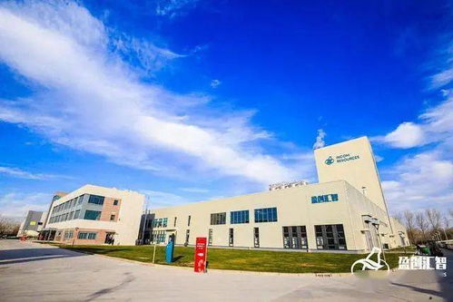 推動(dòng)塑料循環(huán)經(jīng)濟(jì)進(jìn)程 盈創(chuàng)匯智工廠在天津全面開工的技術(shù)咨詢