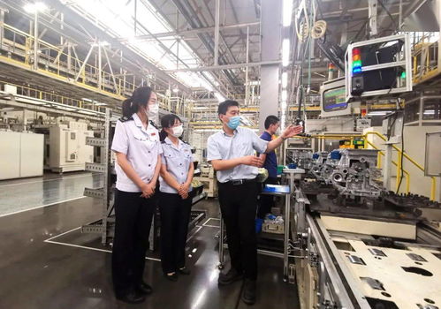 減稅費優服務，稅務部門助力企業揚帆海外高質量發展